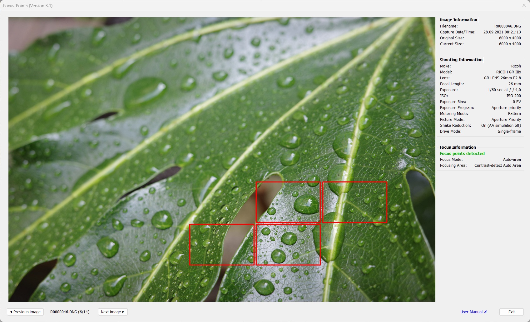 Ricoh 2